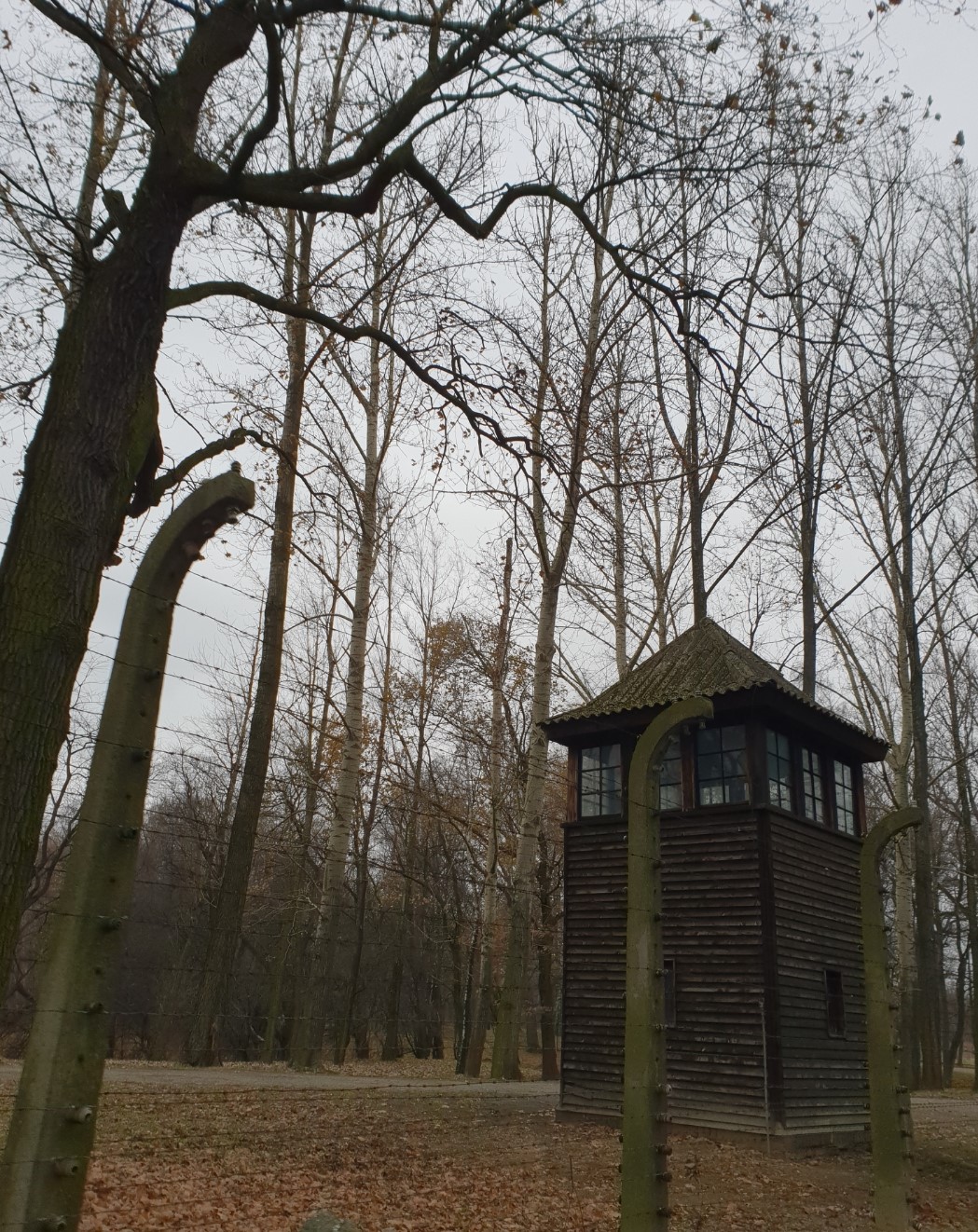 preserved guard tower at the camp