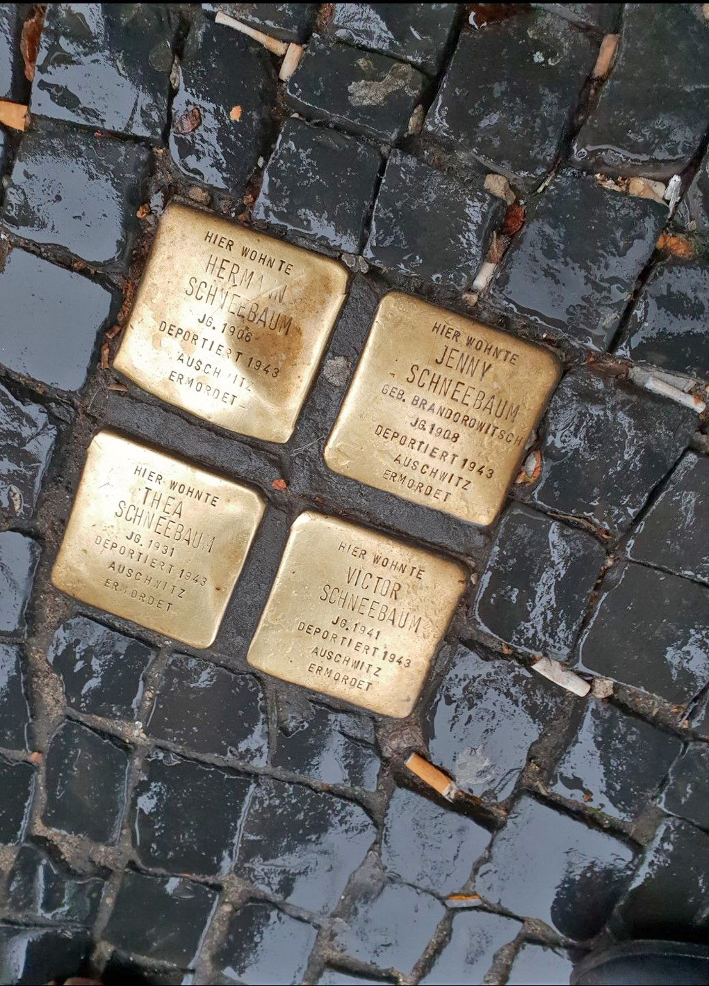Commemorative brass plaques set outside the addresses where victims lived