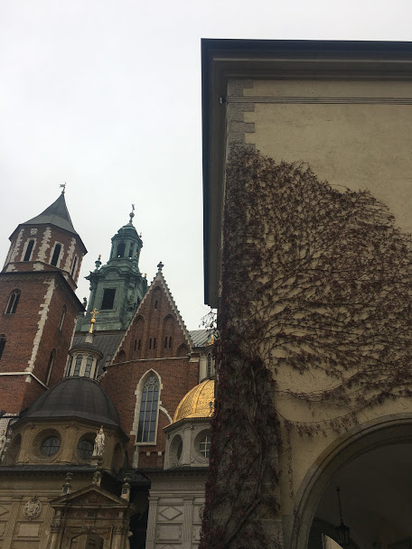 Vines outside Wawel Castle Krakow