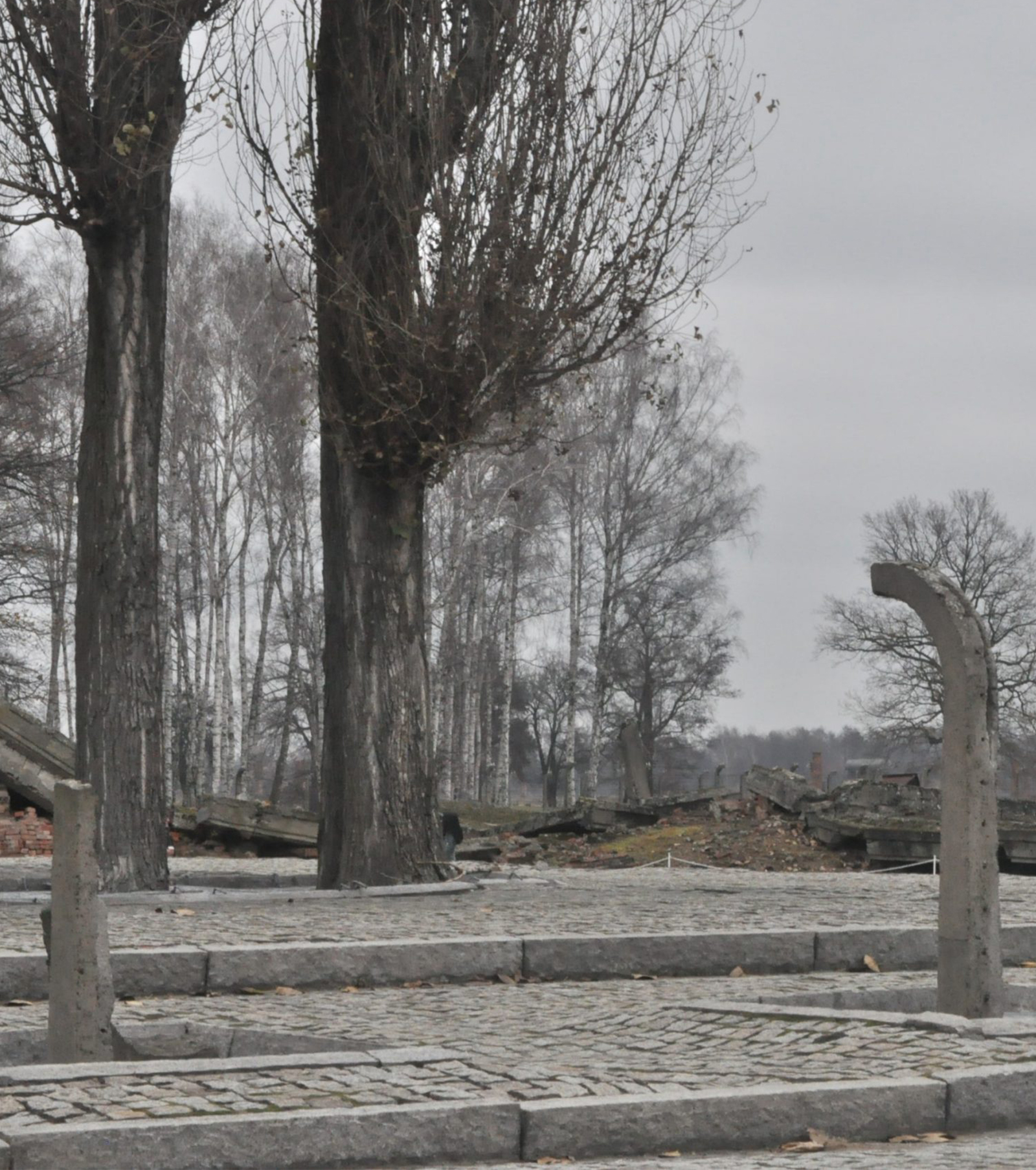 Auschwitz graveyard